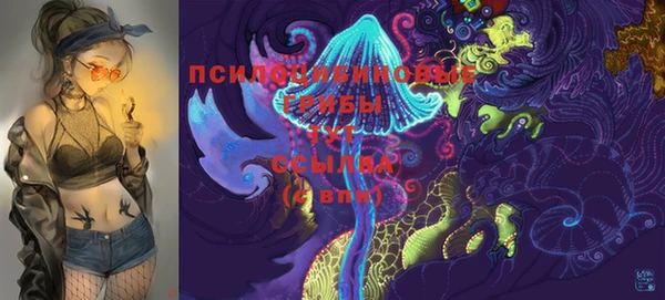 mdma Медвежьегорск