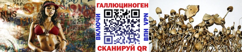 кракен онион  Рославль  Галлюциногенные грибы прущие грибы 