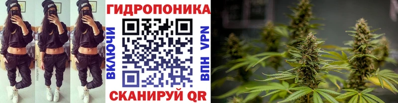 цены наркотик  Рославль  Конопля MAZAR 
